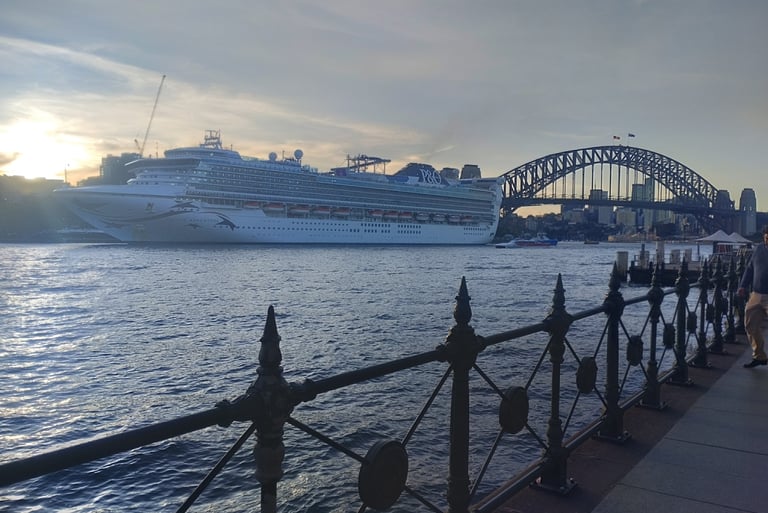 A large cruise ship is sailing on the water with the Sydney Harbour Bridge visible in the background.