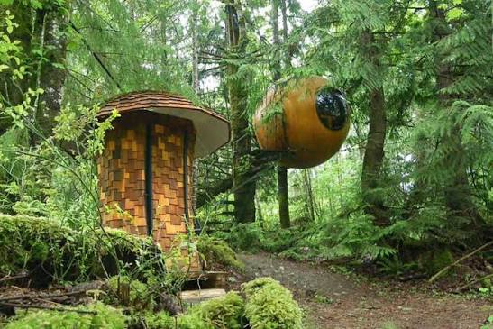 A round wooden treehouse sphere and shingled outhouse cabin nestled in a lush green forest.