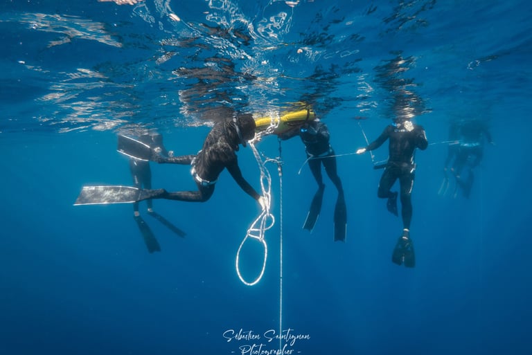 a group of freediver during a course. Photo taken by Sébastien Saintignan