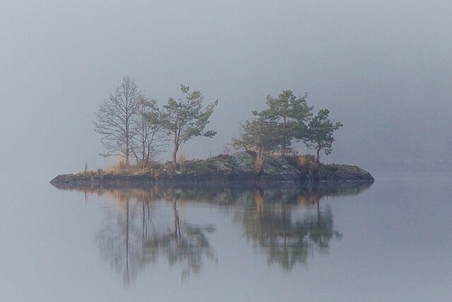 A small island with a few trees in the fog-Wikimedia cite