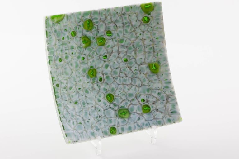 Coral Green - Platter