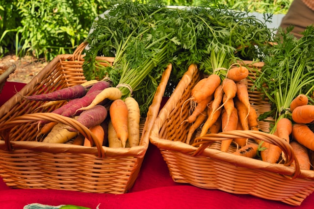 multiple carrots that have been grown in containers