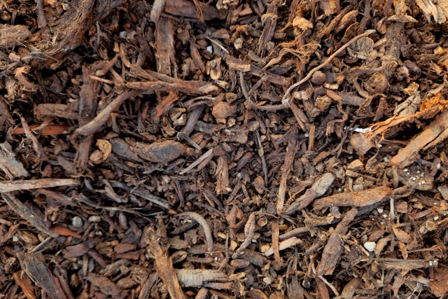 mulch out of wood chips with a dark brown color