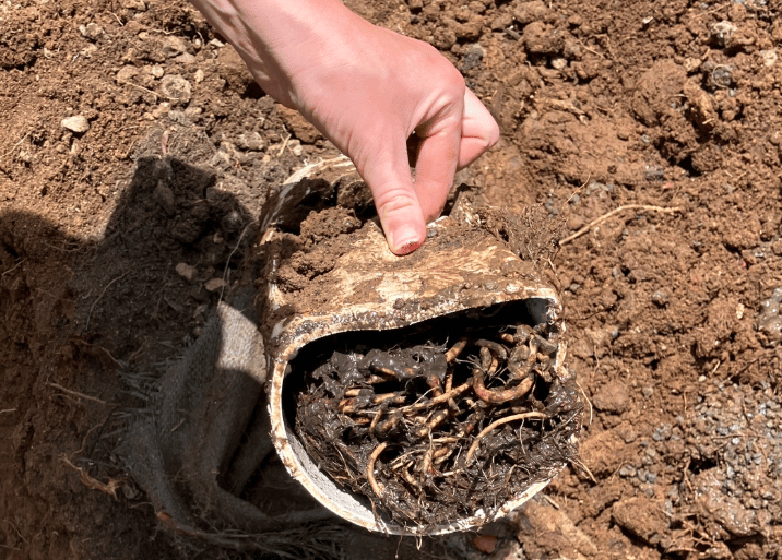 Brisbane Sewer Repairs