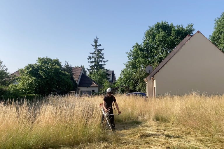 Débroussaillage à Soisy-sur-Seine et aux alentours.