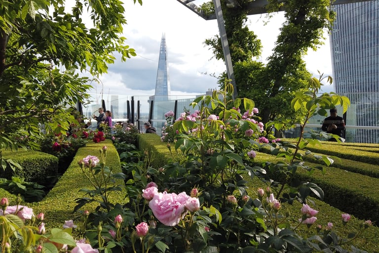 City of London private walking tour - nature and architecture - Garden at 120, The Shard