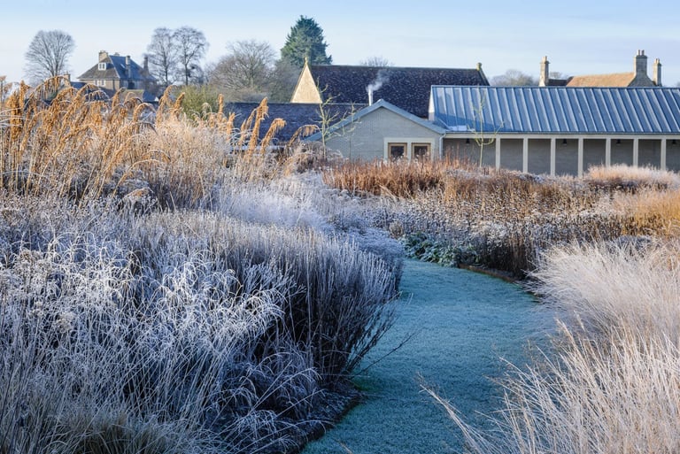 Dutch landscape designer Piet Oudolf known for naturalistic planting and modern garden design philosophy.