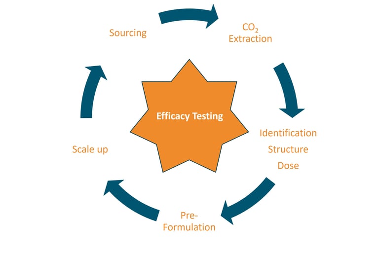A circular product development cycle diagram showing stages from sourcing to efficacy testing and scale up.