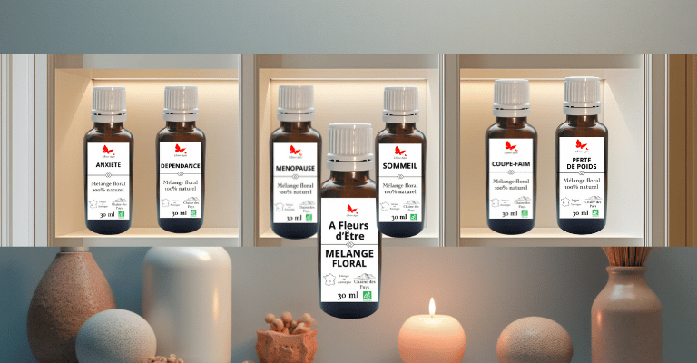 Gamme de mélanges floraux artisanaux A Fleurs d'Être par L'Âme-Agie à Job.