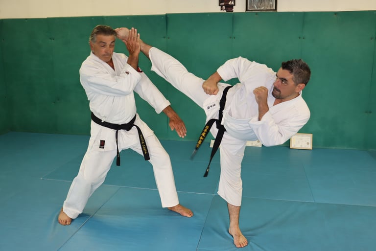 Dominique et Gregorie HHourcade Mawashi geri jodan