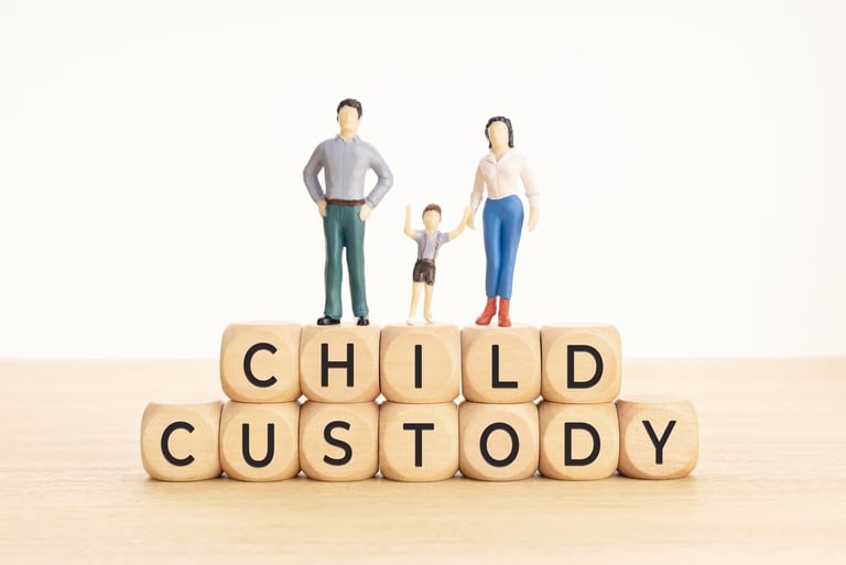 Child Cutody and Support Documentation