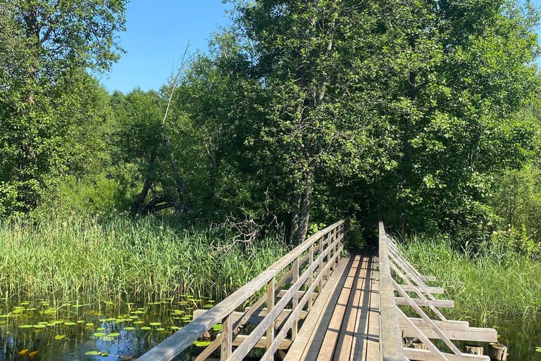 Wooden bridge other a river - Estonia