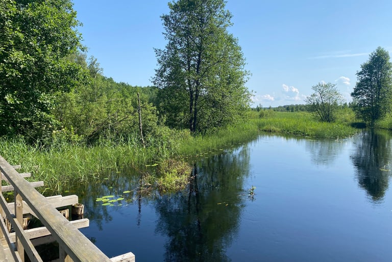 Pont en bois sur rivière - Estonie