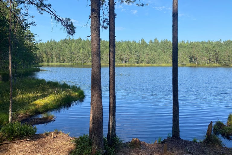 Lac - Estonie