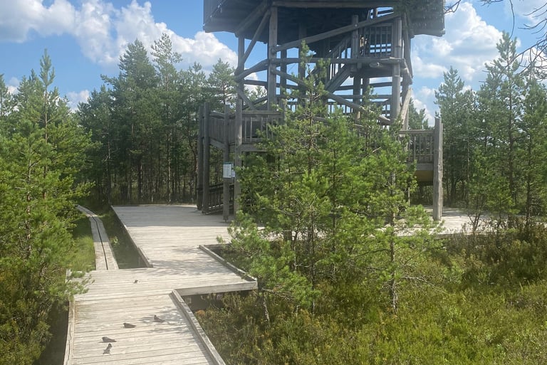 Tour observatoire Bog (marais) - estonie