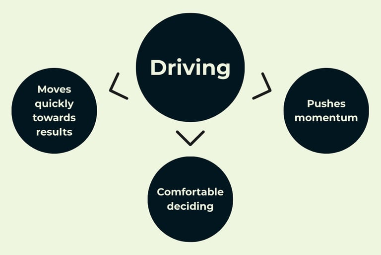 Leadership driving style diagram showing results, momentum, and decisive decision making.