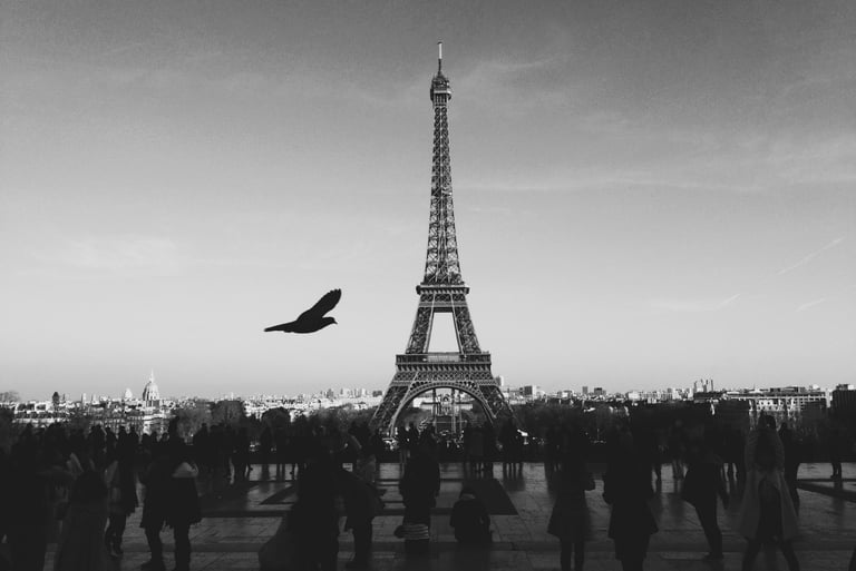 Black and white image of the Eiffel Tower from a distance