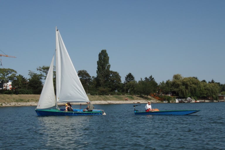 Boote auf der Donau