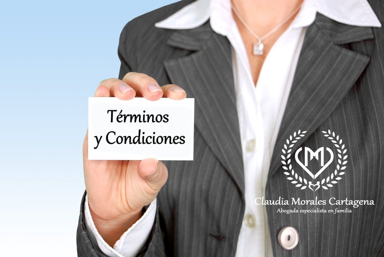 abogado que haga términos y condiciones en Colombia
