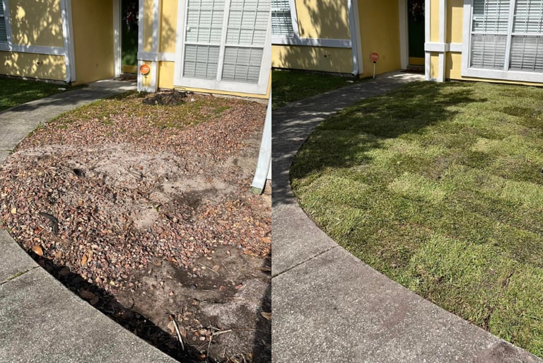 Resod Jacksonville FL