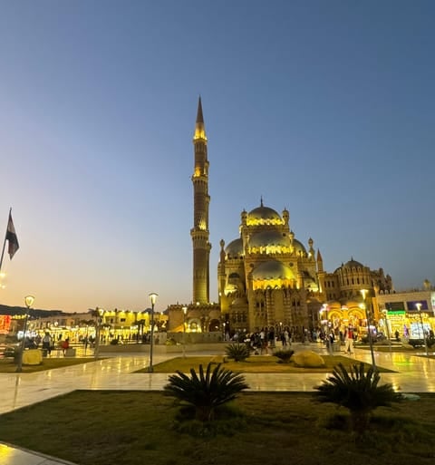 Explore Sharm el-Sheikh