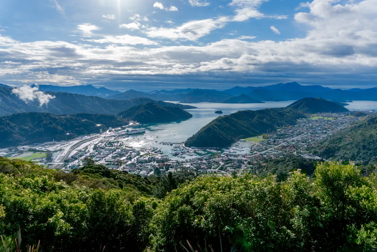 View of Picton from the Tirohanga Track