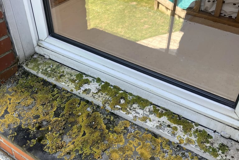 Seuil et encadrements avant nettoyage par nord vitres