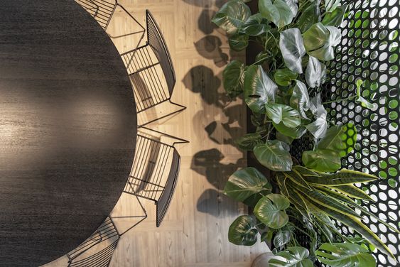 geri grindu spredimai biurui