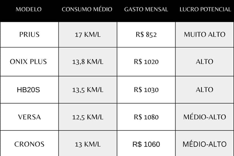 Simulação-Realista-do-lucro-de-cada-carro-por-Mês