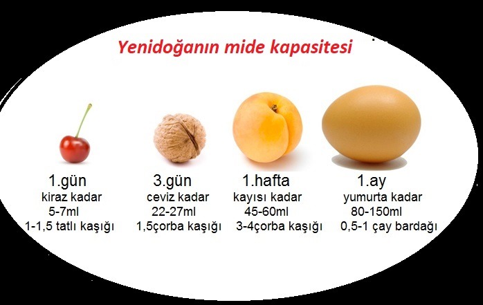 Yenidogan bebegin mide kapasitesi ne kadardır