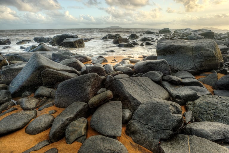 Paysage du littoral - Cayenne