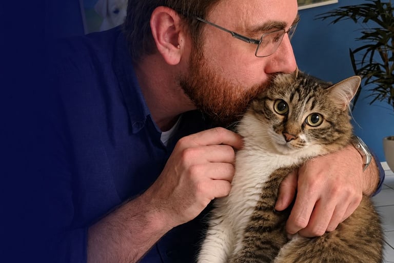 veterinario de felinos