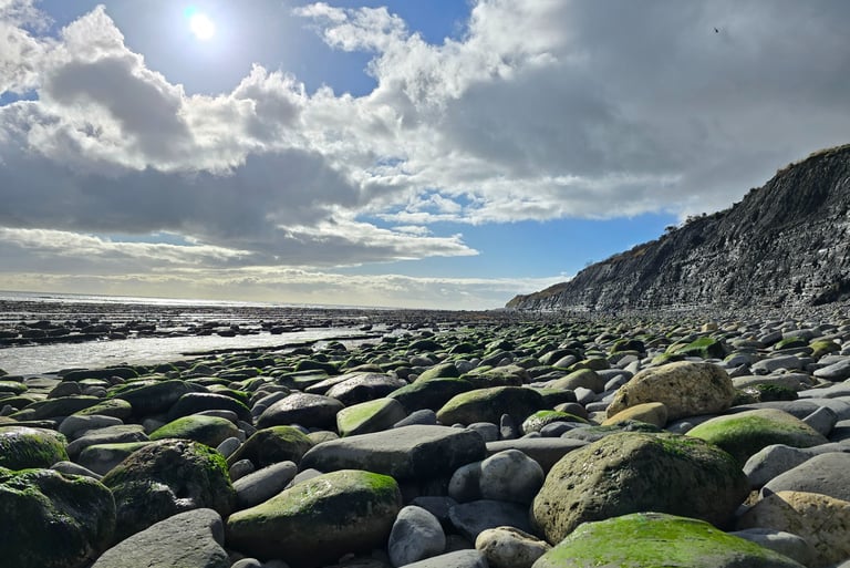The Jurassic coast. Monmouth Beach. Fossil heaven!