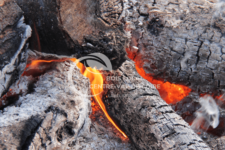 feu de bois
