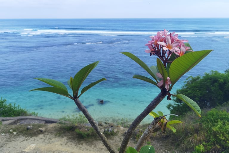 plage et fleur de tiaré Nusa Dua Bali
