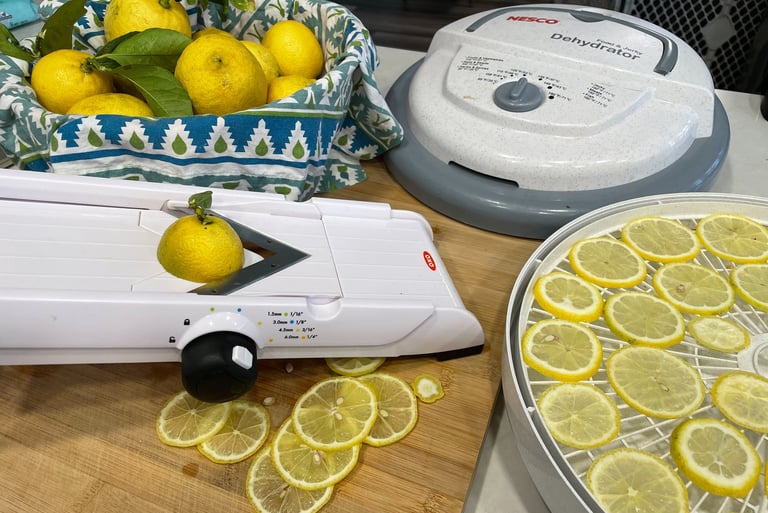 sliced lemons on cutting board and dehydrator with whole lemons in a bowl 