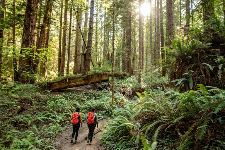 Latino Outdoors Campout