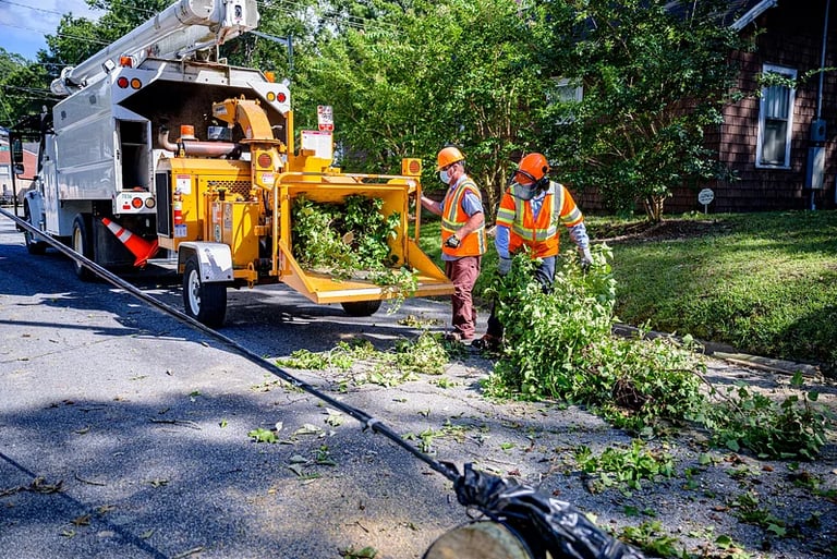 Tree service