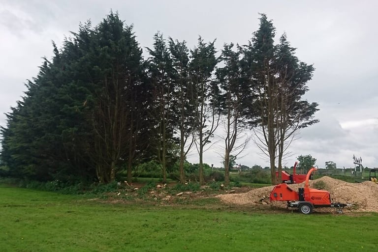 hawkins trees yeovil