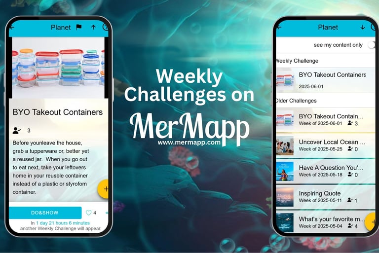 screenshots showing the weekly challenges on MerMapp