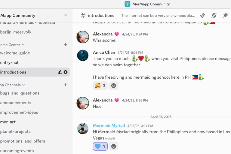screenshot of the introductions' channel on MerMapp's Discord community chat