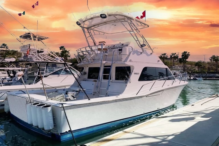 a sport fisher boat in the marina close near to San jose del cabo  