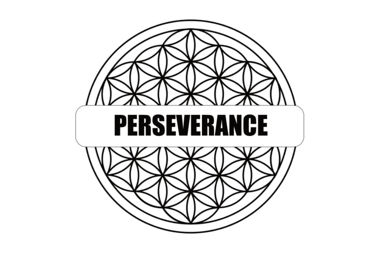 #it2wu  |  PERSEVERANCE