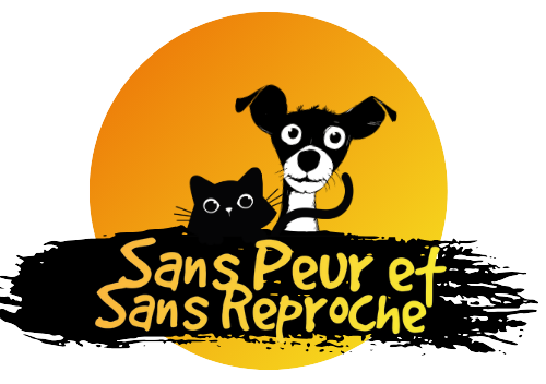 éducation positive bienveillante et comportement chiens et chats