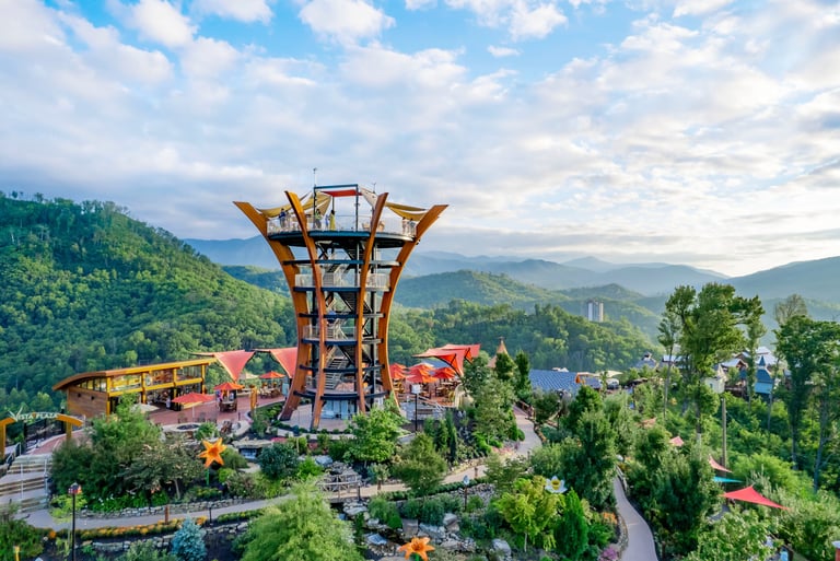 AnaVista Tower in Gatlinburg - Drone