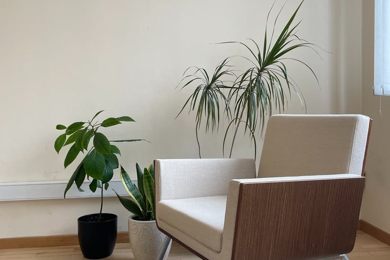 Psichoanalitinės psichoteraijos kaina