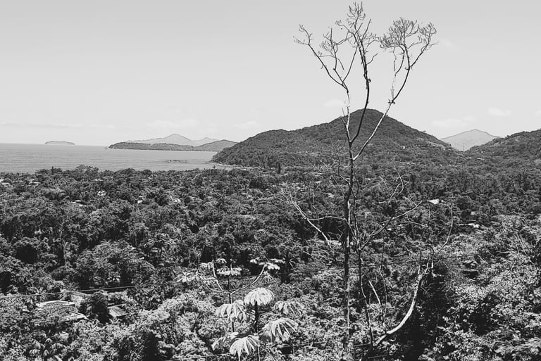 Itamambuca vista do alto pb