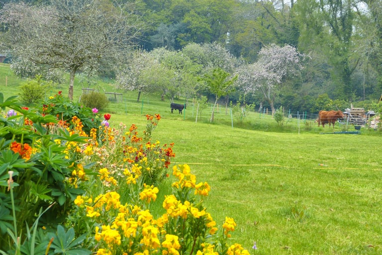 Gardens, Tower Lodge , Bovey Tracey.
