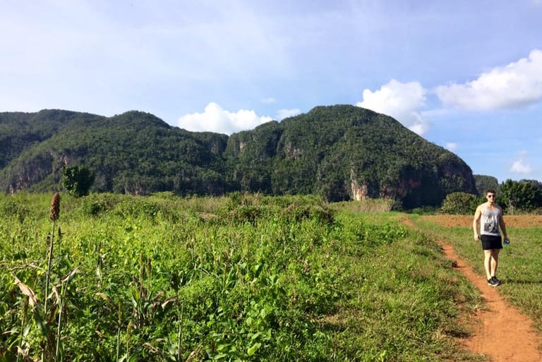 vinales
