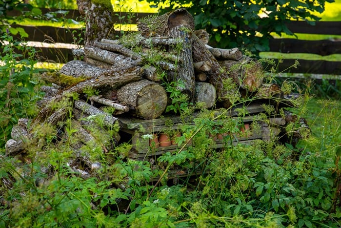medžio rastai sukrauti vienas ant kito į gamtinę kompoziciją
